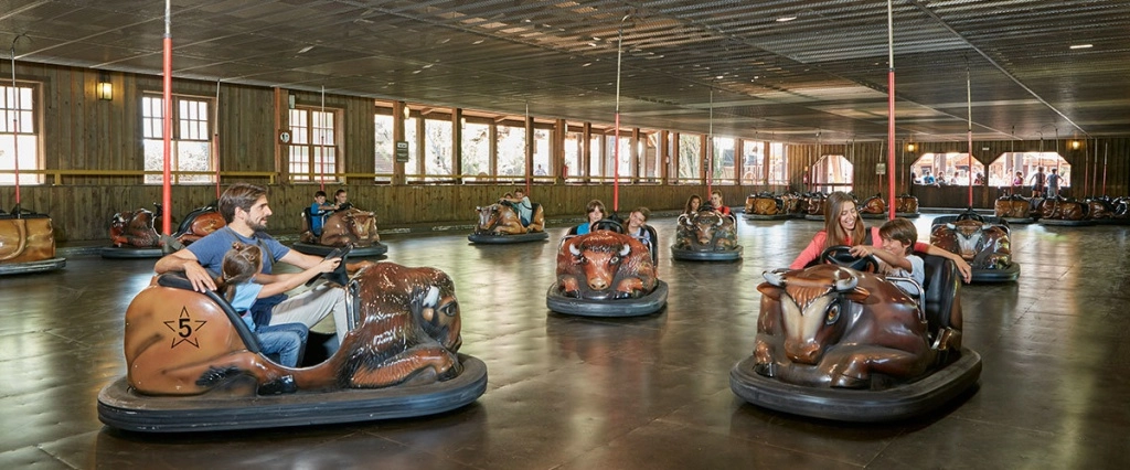 Wild Bufalos Wild Bufalos