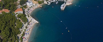 Брела