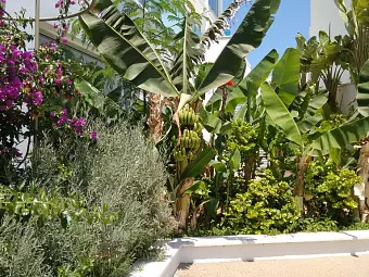 Отель VRISSAKI BEACH HOTEL 3*