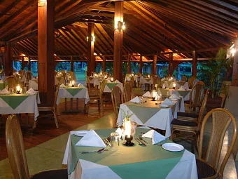 THE PALMS 4*