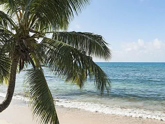 Отель FISHERMAN'S COVE HOTEL 5*