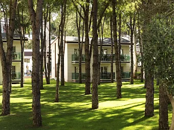  Отель TUI MAGIC LIFE Masmavi 5*