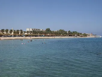 Отель SUNRISE SELECT ROYAL MAKADI RESORT 5*