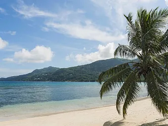 Отель FISHERMAN'S COVE HOTEL 5*