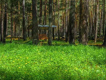 Отель СКАЙ ЭЛЬБРУС 3*