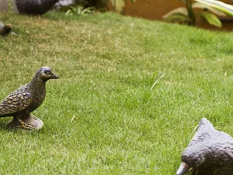 Goa Villagio Resort (ex. STERLING HOLIDAYS VILLAGIO) 3+*