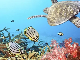 ANANTARA VELI MALDIVES 5*