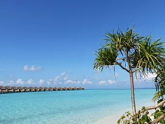 VAKKARU MALDIVES 5*, Мальдивы, атолл Баа