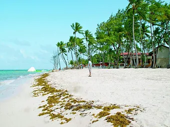 Отель VISTA SOL PUNTA CANA 4*, Доминикана, Пунта-Кана. 