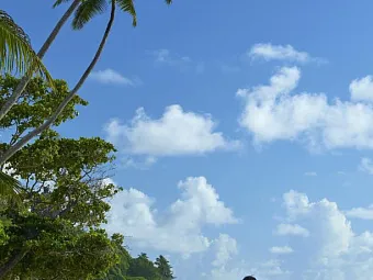 Отель DOUBLE TREE BY HILTON SEYCHELLES ALLAMANDA RESORT & SPA 4*