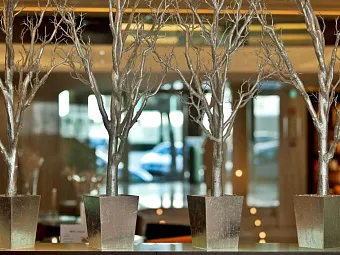 Отель TURIM ALAMEDA HOTEL 4*