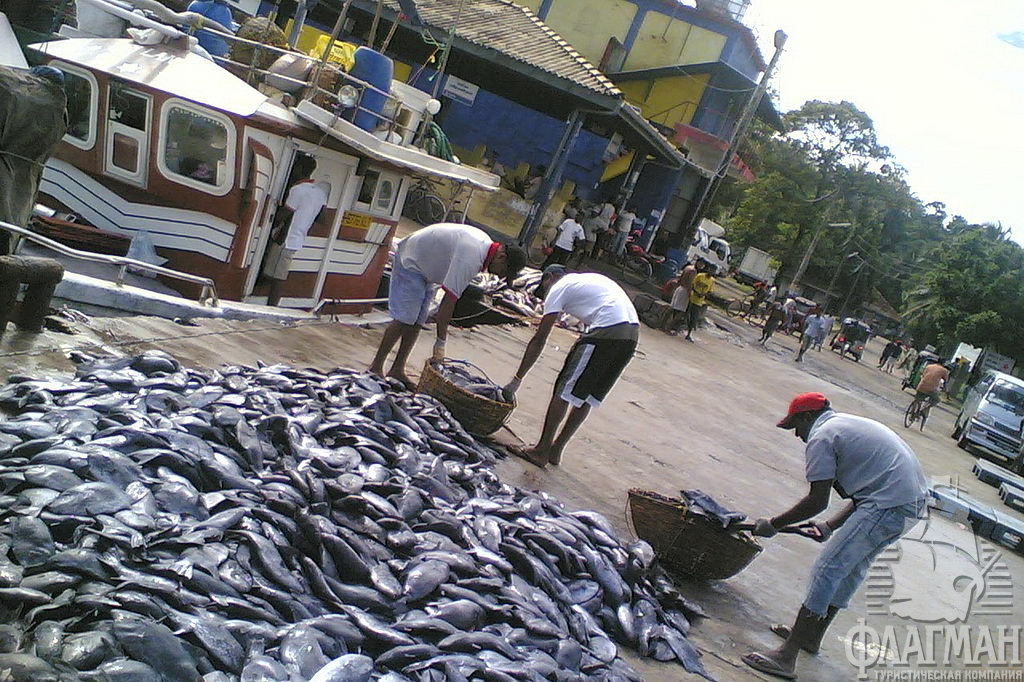 Улов местных рыбаков продаётся прямо с корабля.