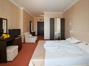 Отель SAINT GEORGE PALACE 4*