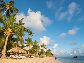 CATALONIA ROYAL BAVARO 5*, Доминикана, Пунта-Кана
