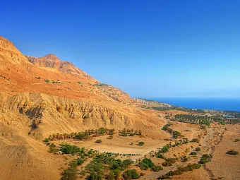 EIN GEDI 4*