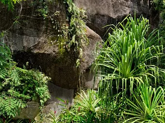 Отель BANYAN TREE SEYCHELLES 5*