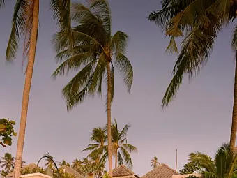  Отель FAIR HOUSE VILLAS & SPA 4*, Таиланд, Самуи. 