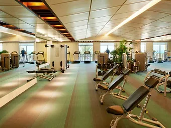 Отель SOFITEL THE PALM 5*
