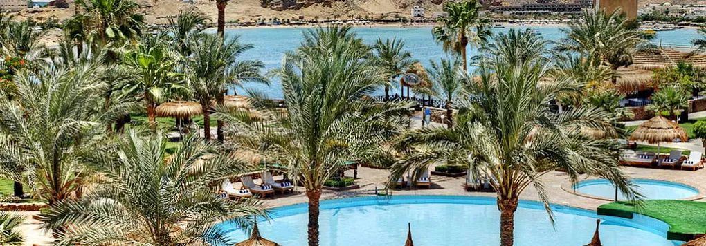 BEACH ALBATROS RESORT SHARM EL SHEIKH 4*, Египет, Шарм-Эль-Шейх.