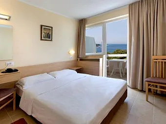 Отель Hotel Delfin 2*