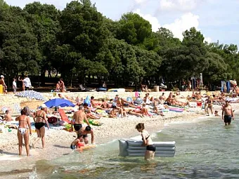 Отель Hotel Delfin 2*