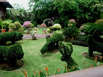Отель BOTANY BEACH RESORT 3*+, Таиланд, Паттайя.