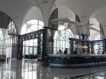 OCEAN EL FARO 5*