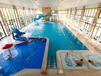 Пансионат ШЕКСНА 4*