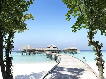 VAKKARU MALDIVES 5*, Мальдивы, атолл Баа