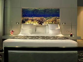 Отель PARADISUS PUNTA CANA 5 *