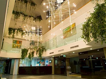 Отель CRYSTAL SPRINGS BEACH HOTEL 4*