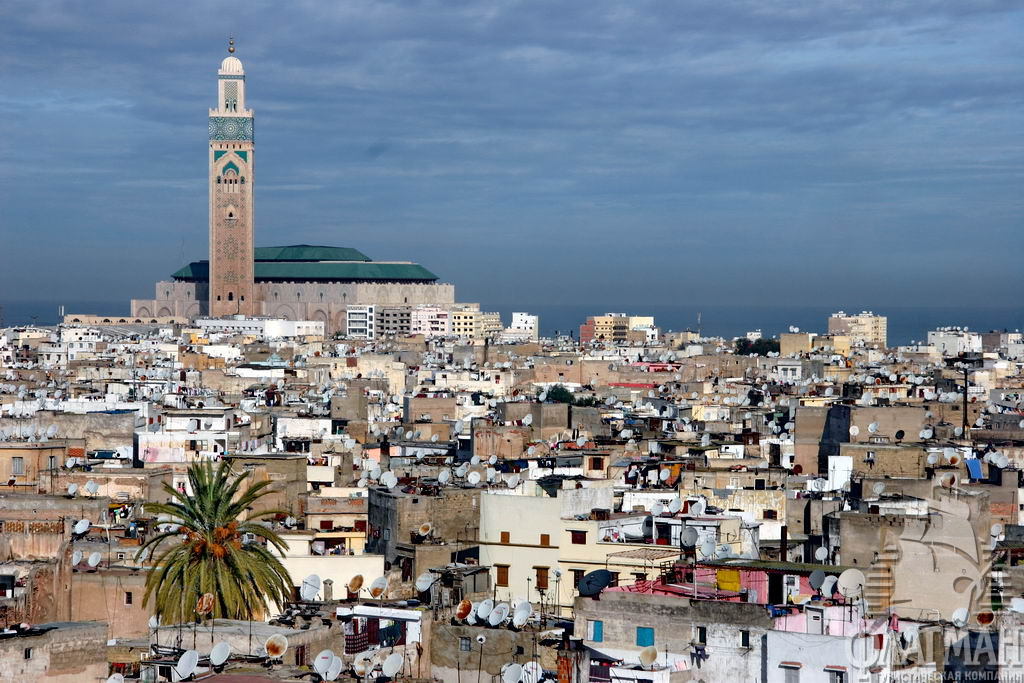 Вид на старые кварталы Касабланки и мечеть Хассана II