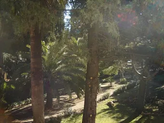 Отель PARK HOTEL BUDVA 2+*