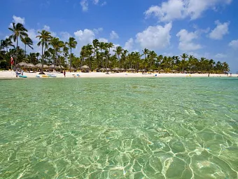 Пляж отеля CATALONIA PUNTA CANA 5*