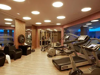 Отель PLAZA ANDORRA LA VELLA 5*