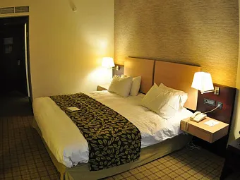 Отель PORTO CARRAS SITHONIA BEACH 5*
