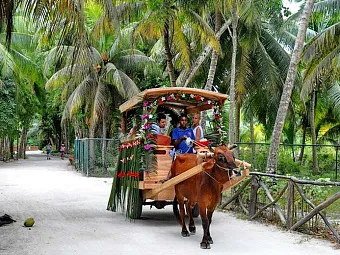 LA DIGUE ISLAND LODGE 4*, Сейшелы, остров Ла-Диг