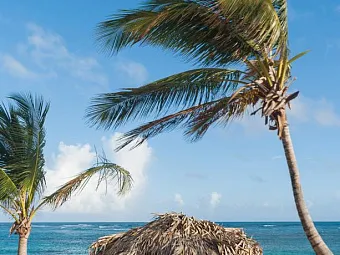  Отель ZOETRY AGUA PUNTA CANA 5*, Доминикана, Пунта-Кана.