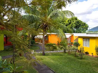 Tamarin 3*