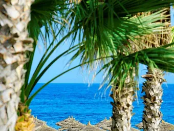 Отель HOLIDAY VILLAGE MANAR 5*