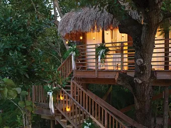 Отель COUPLES NEGRIL 5*