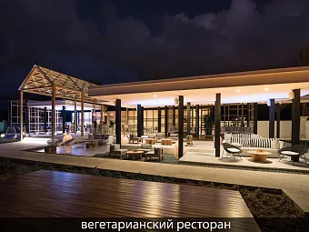 CATALONIA ROYAL BAVARO 5*, Доминикана, Пунта-Кана