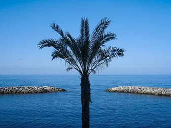 SAVOY SACCHARUM HOTEL RESORT & SPA 5*