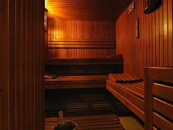 Отель GOLDEN TULIP ANDORRA FENIX HOTEL 4*
