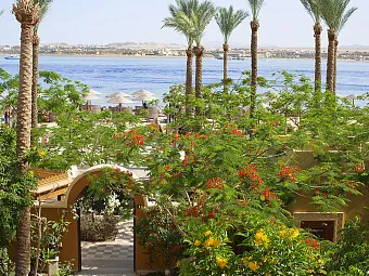 Отель SUNWING WATERWORLD MAKADI 5*. Египет, Макади.