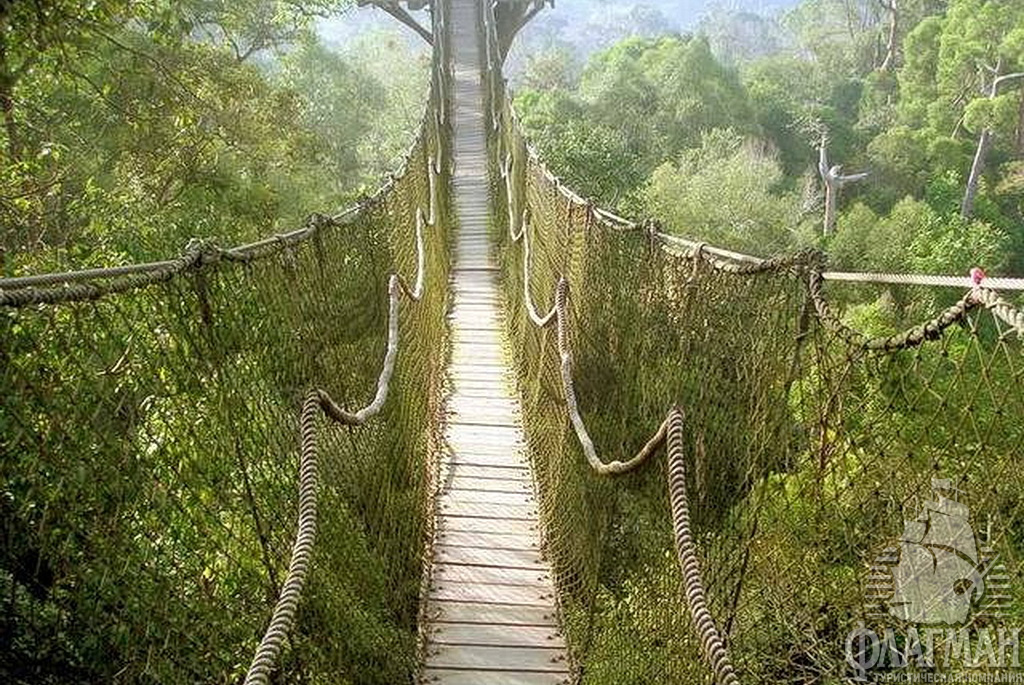  Национальный парк Гантунг. Калимантан.