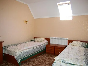 АЛЬПИНА 2*