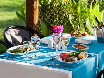 Отель LYKIA BOTANIKA BEACH FUN CLUB 4*