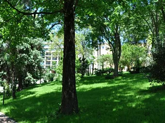 Отель SWISSOTEL СОЧИ КАМЕЛИЯ 5*.