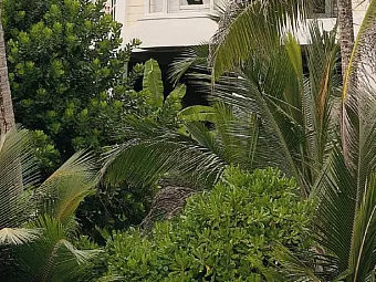 Отель BANYAN TREE SEYCHELLES 5*